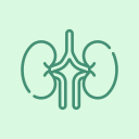 kidney_pack
