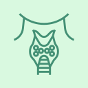 endocrine_pack